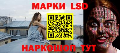 твердый Будённовск