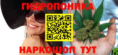 a pvp Бузулук