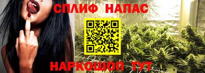 твердый Будённовск