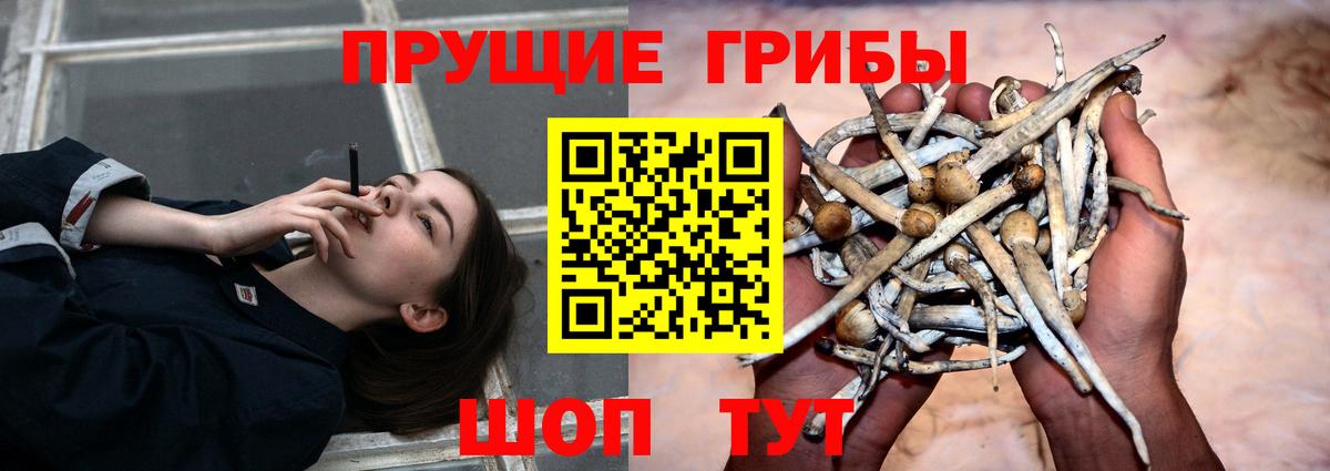 Псилоцибиновые грибы мухоморы  Вход с VPN  Снежинск  Галлюциногенные грибы мицелий 